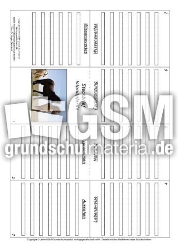 Faltbuch-Islandpferde.pdf